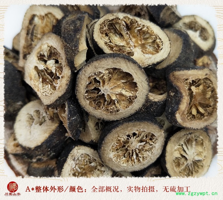 cstcssnzhishipiansheng08.jpg