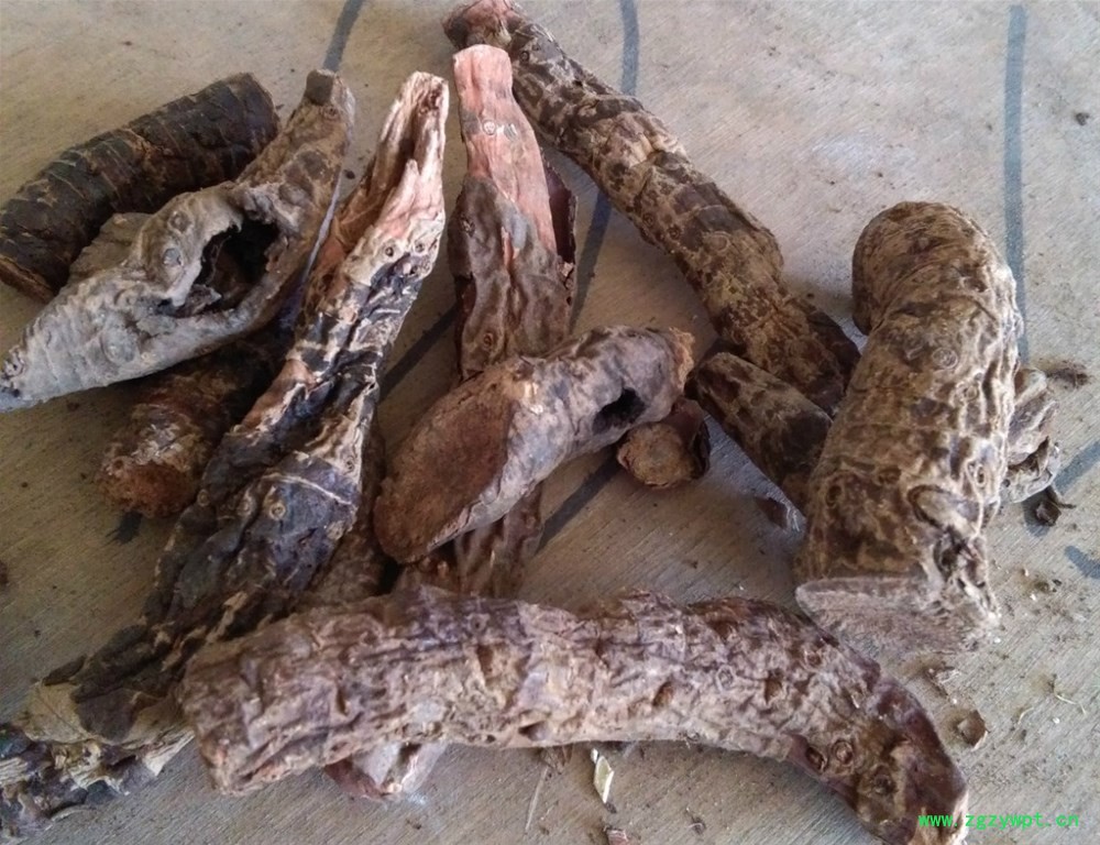 盘龙七 (5)_meitu_2.jpg