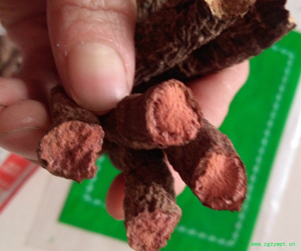 盘龙七 (2)_meitu_3.jpg