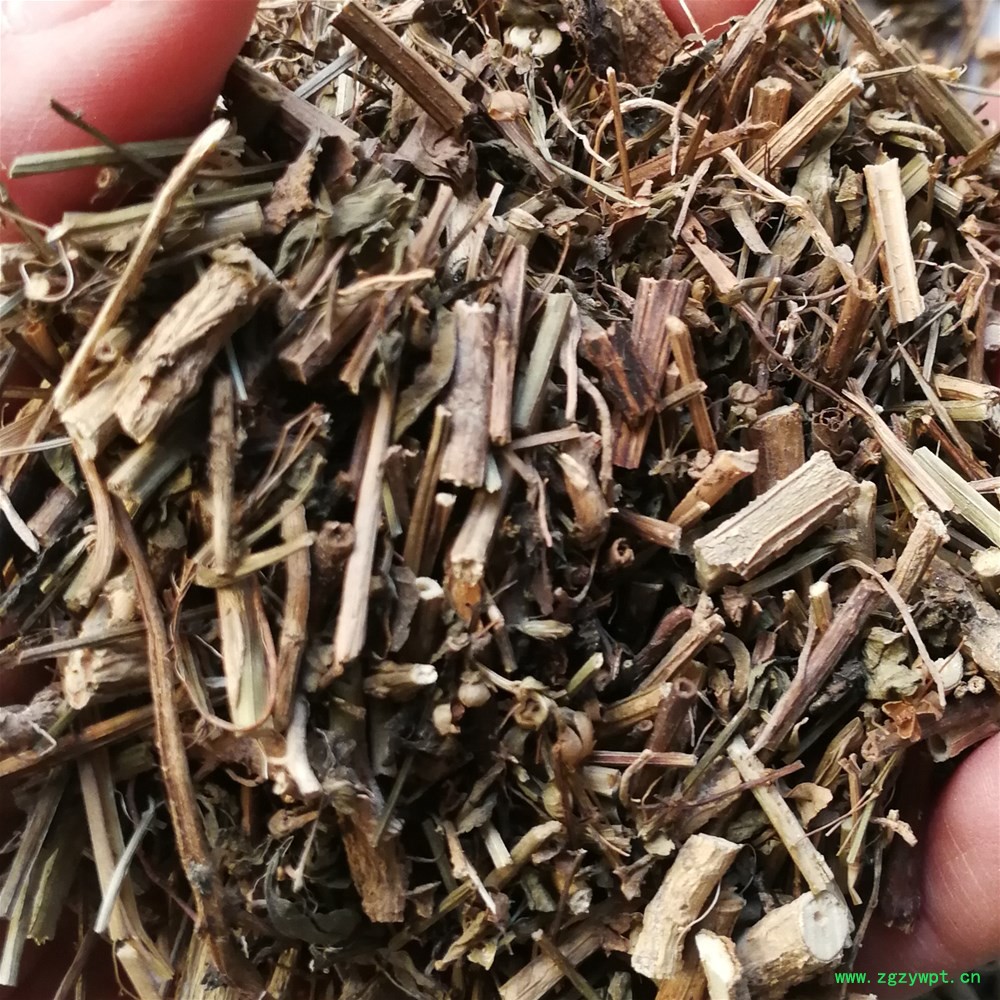 冰糖草 (2)_副本.jpg