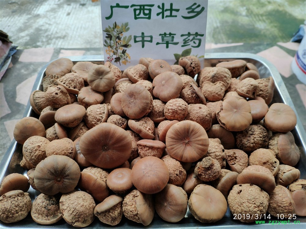 IMG_20190314_102505.jpg IMG_20190314_102505.jpg