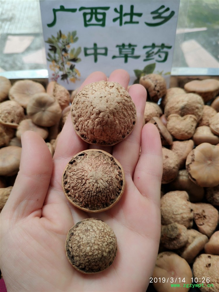 IMG_20190314_102638.jpg IMG_20190314_102638.jpg