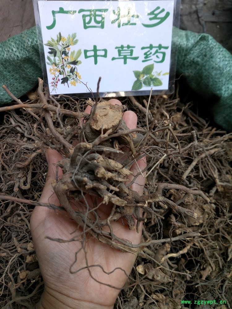 IMG_20160922_111909.jpg IMG_20160922_111909.jpg