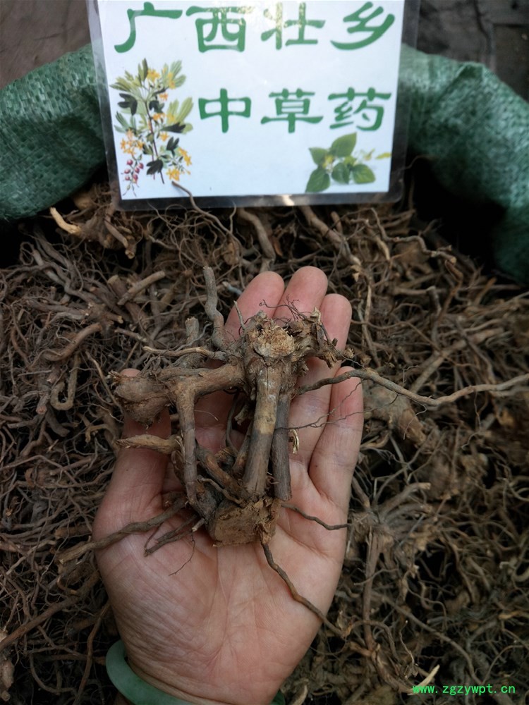 IMG_20160922_112027.jpg IMG_20160922_112027.jpg