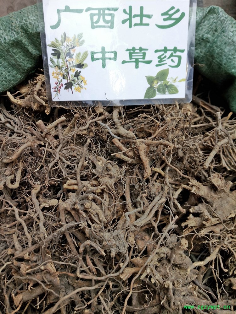 IMG_20160922_111732.jpg IMG_20160922_111732.jpg