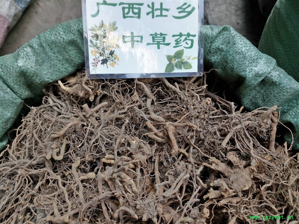 IMG_20160922_111758.jpg IMG_20160922_111758.jpg