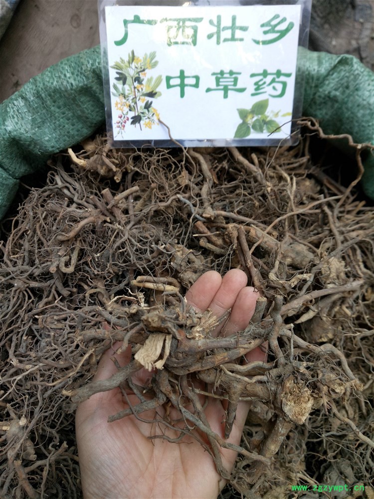 IMG_20160922_111922.jpg IMG_20160922_111922.jpg