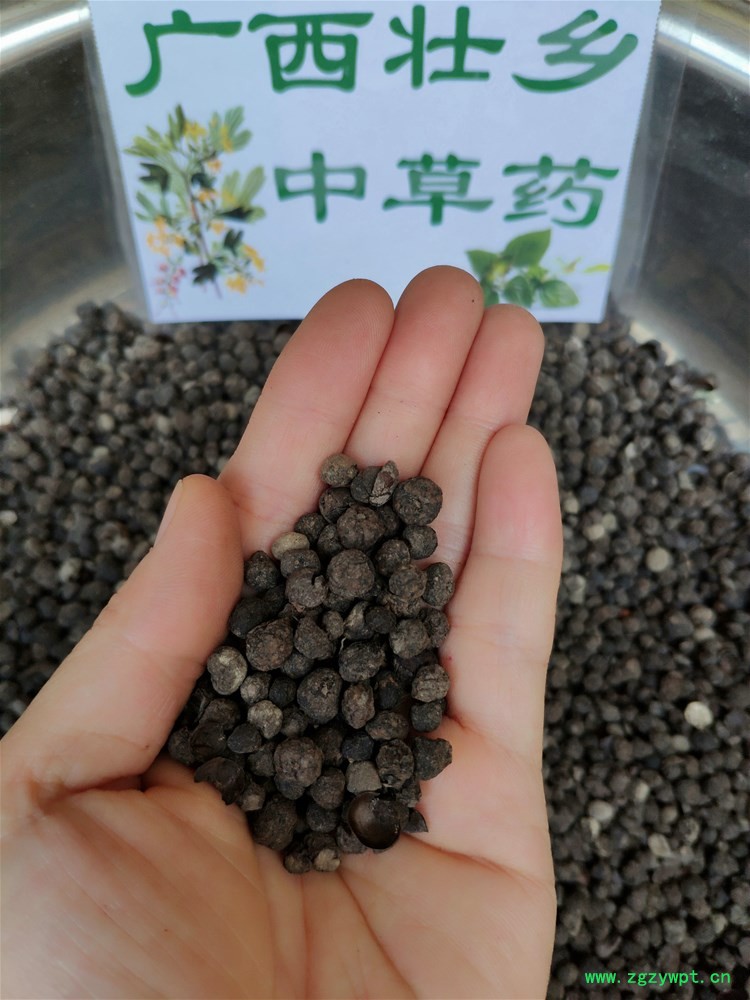 IMG_20190727_170945.jpg IMG_20190727_170945.jpg