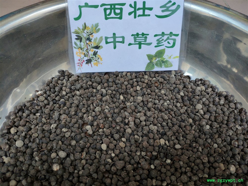 IMG_20190727_170739.jpg IMG_20190727_170739.jpg