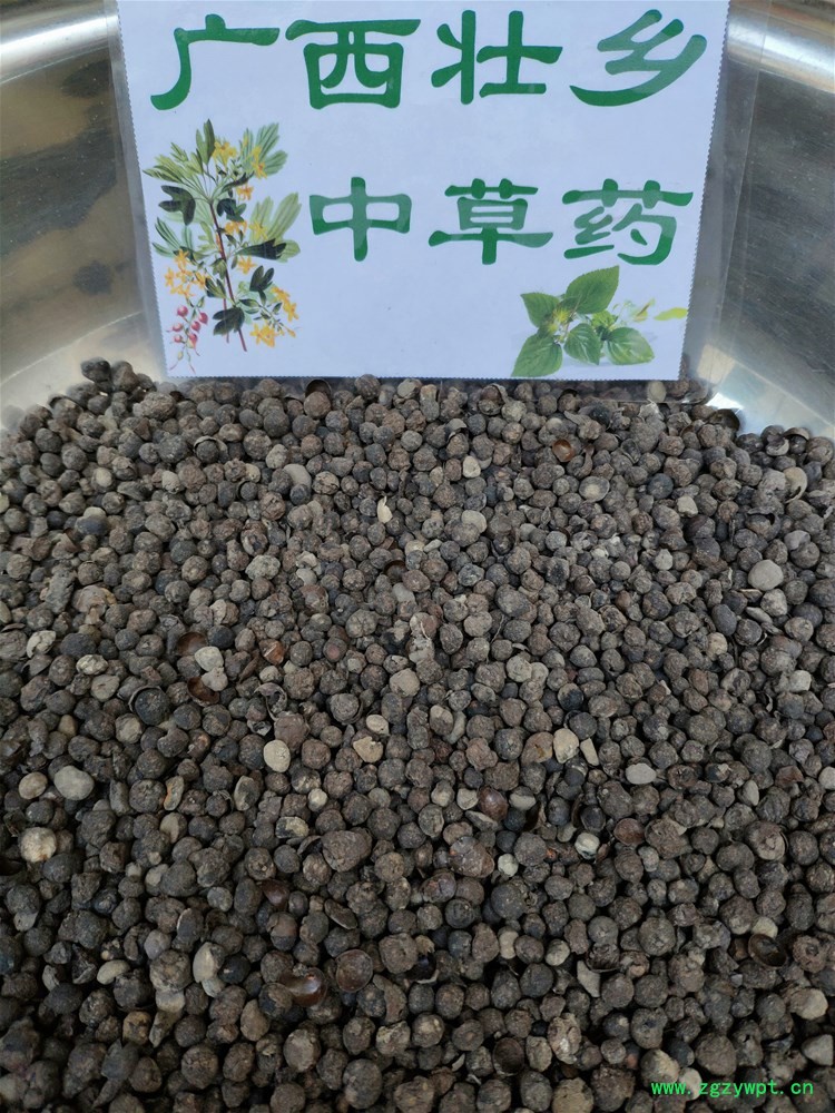 IMG_20190727_170800.jpg IMG_20190727_170800.jpg