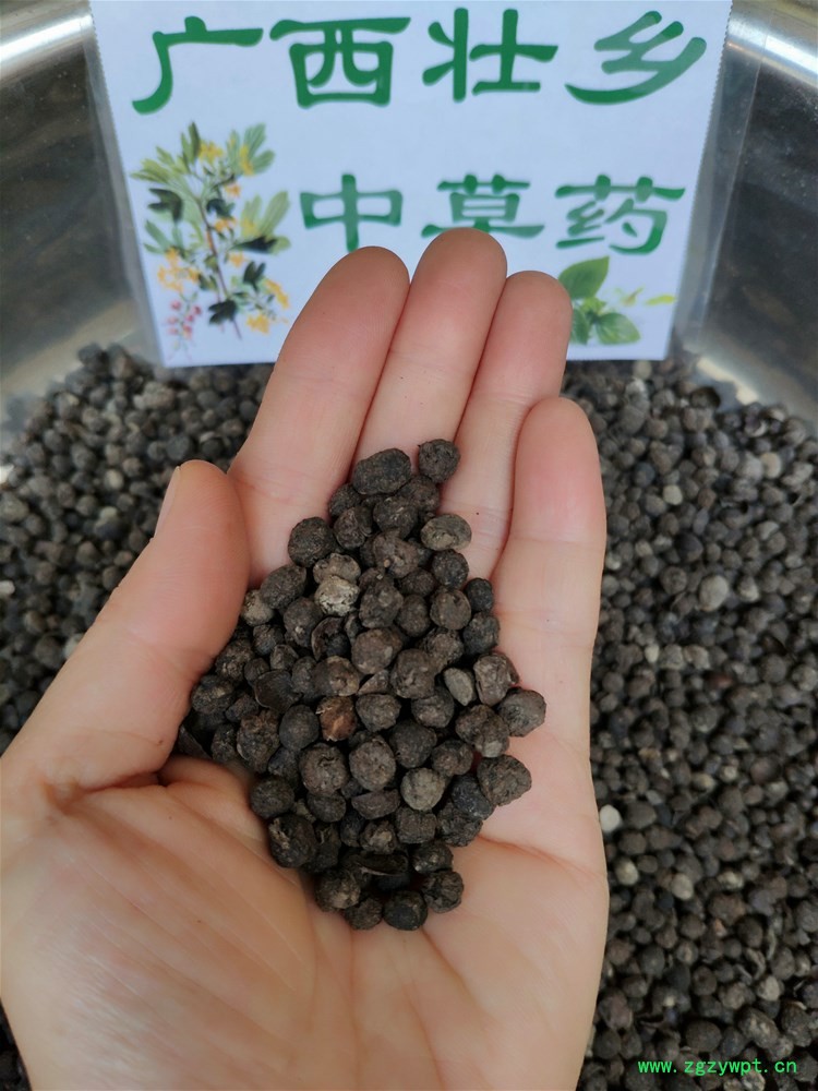 IMG_20190727_170927.jpg IMG_20190727_170927.jpg