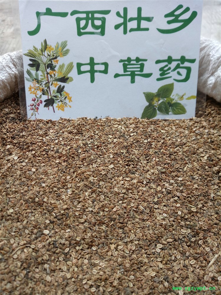 IMG_20161022_130339.jpg IMG_20161022_130339.jpg