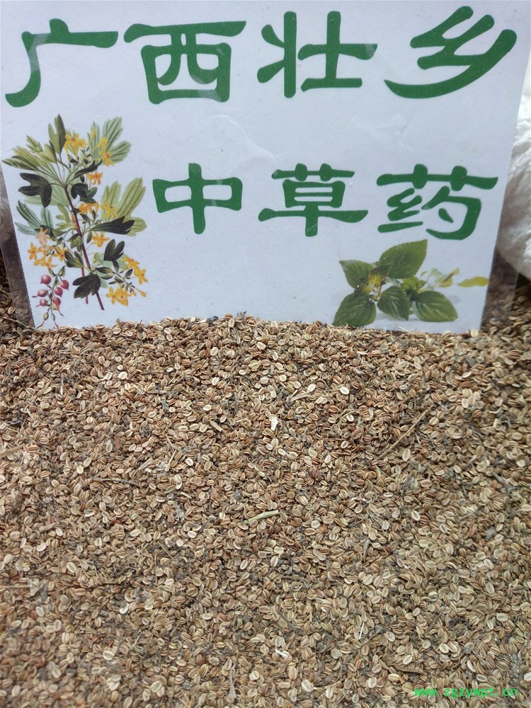 IMG_20161022_130647.jpg IMG_20161022_130647.jpg