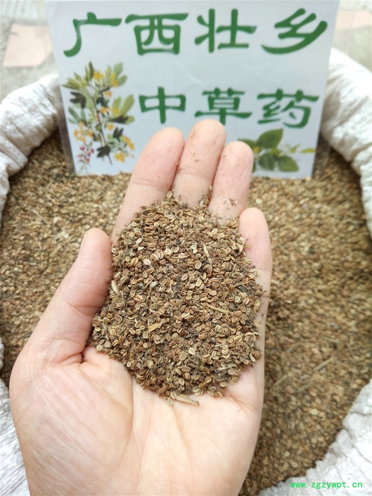 IMG_20161022_130611.jpg IMG_20161022_130611.jpg