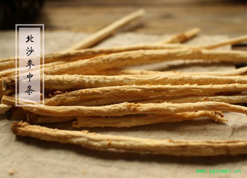 内蒙沙参1.jpg