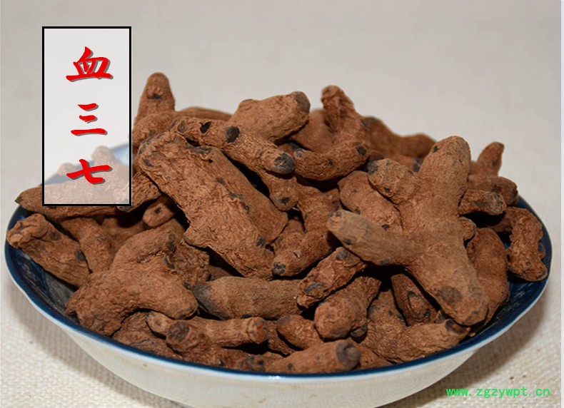 血三七1.jpg