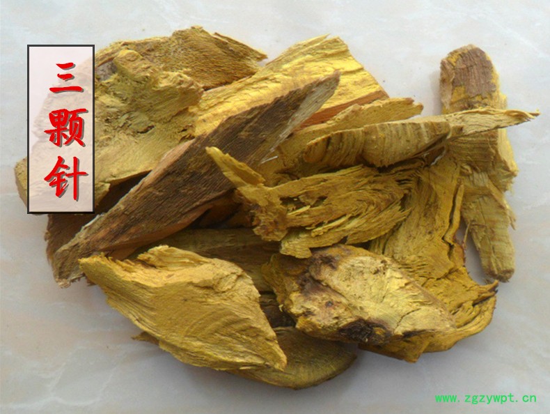 三颗针1.jpg