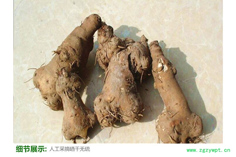 E590B4E88CB1E890B8E5B79DE7BB9FE8B4A75F30352E6A7067 (1).jpg