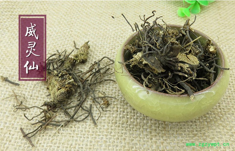 威灵仙1.jpg