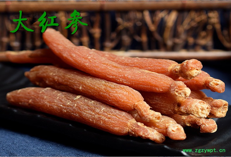 大红参1.jpg