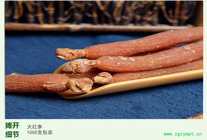 大红参4.jpg