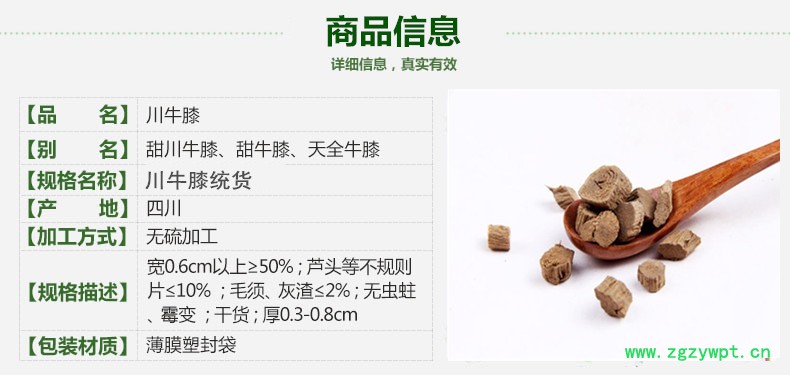 川牛膝2.jpg