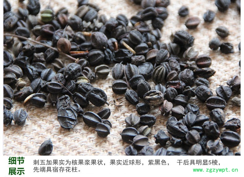 刺五加籽4.jpg