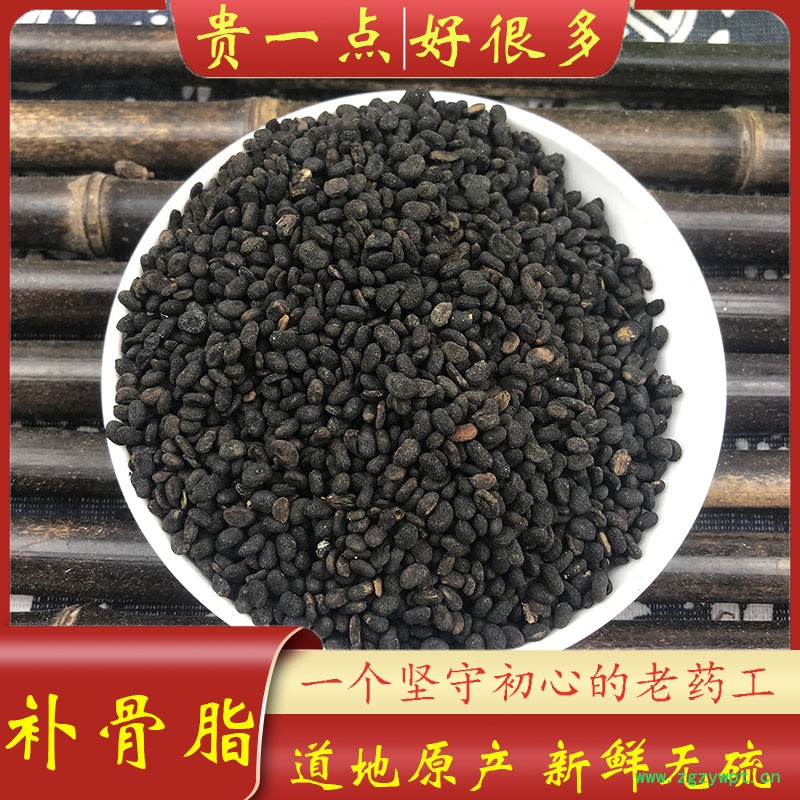 补骨脂主图1.jpg