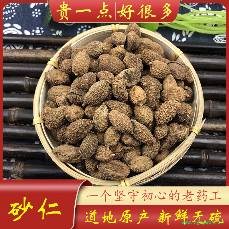 砂仁主图1.jpg
