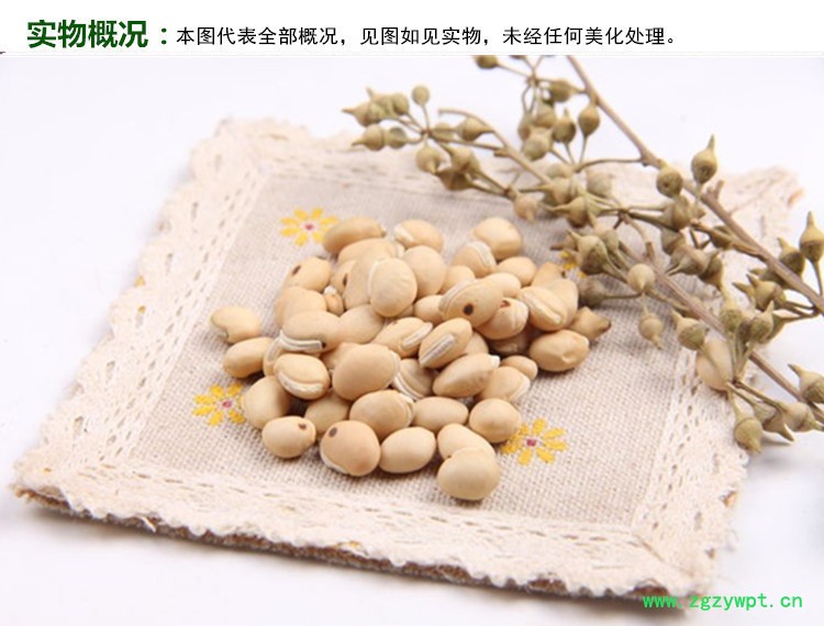 炒白扁豆实物概况_副本.jpg
