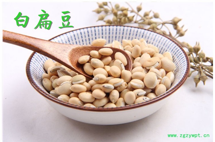 白扁豆.jpg