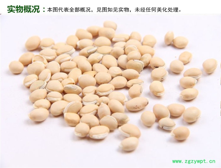 白扁豆实物概况_副本.jpg