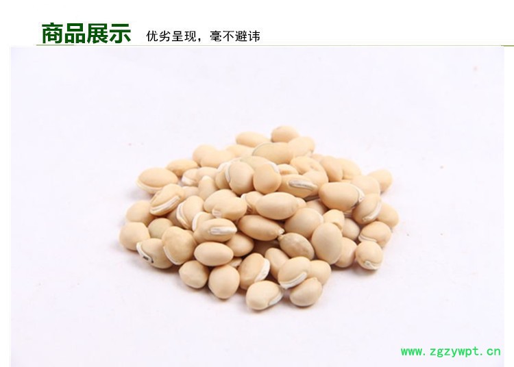 白扁豆 (2).jpg