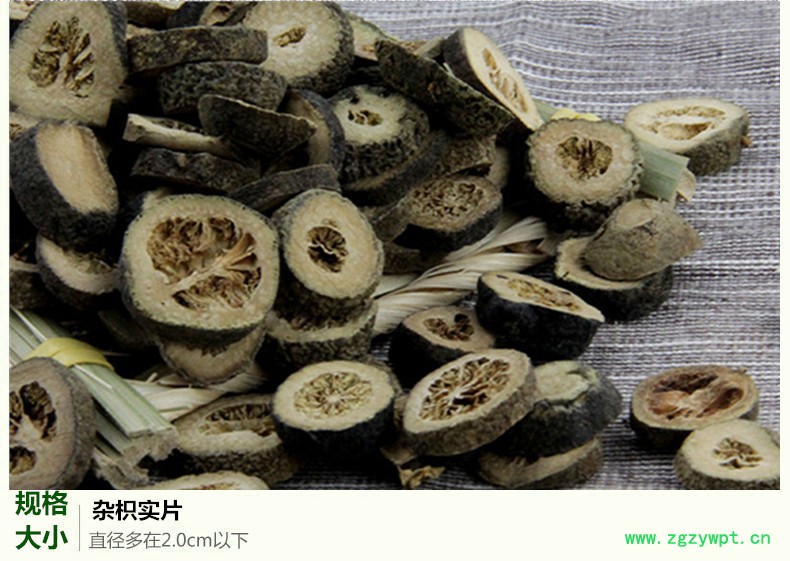 杂枳实5.jpg