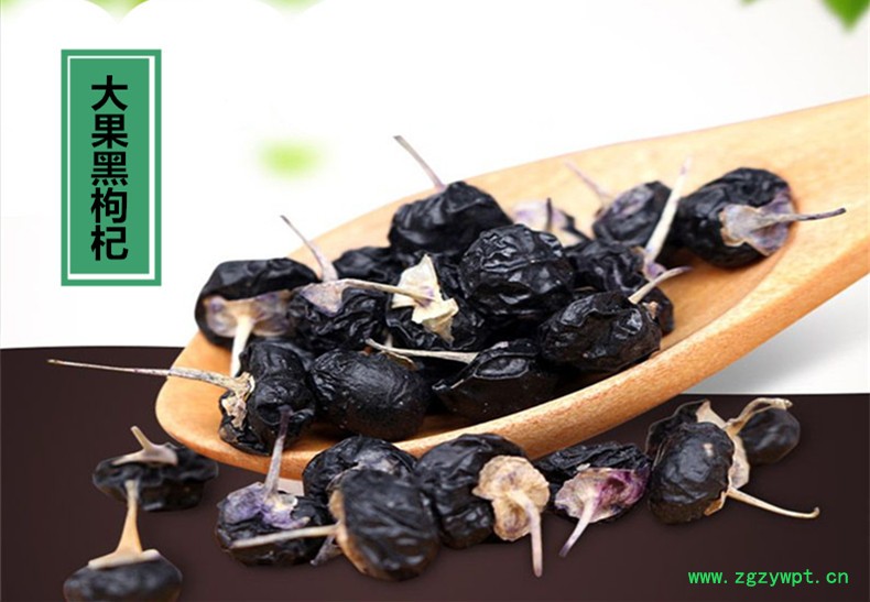 黑枸杞大果1.jpg