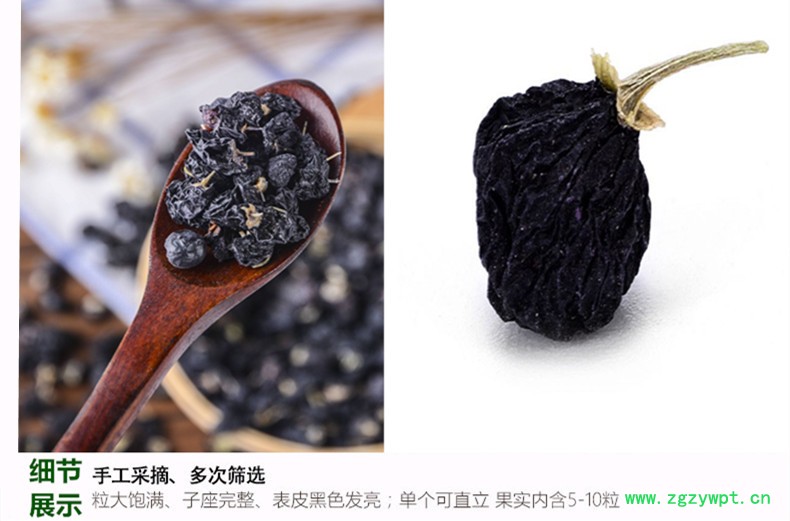 黑枸杞大果5.jpg
