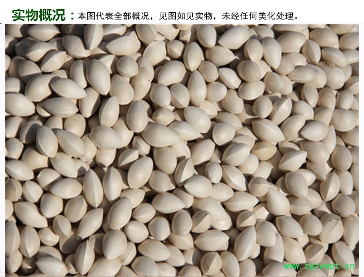 白果实物概况_副本.jpg