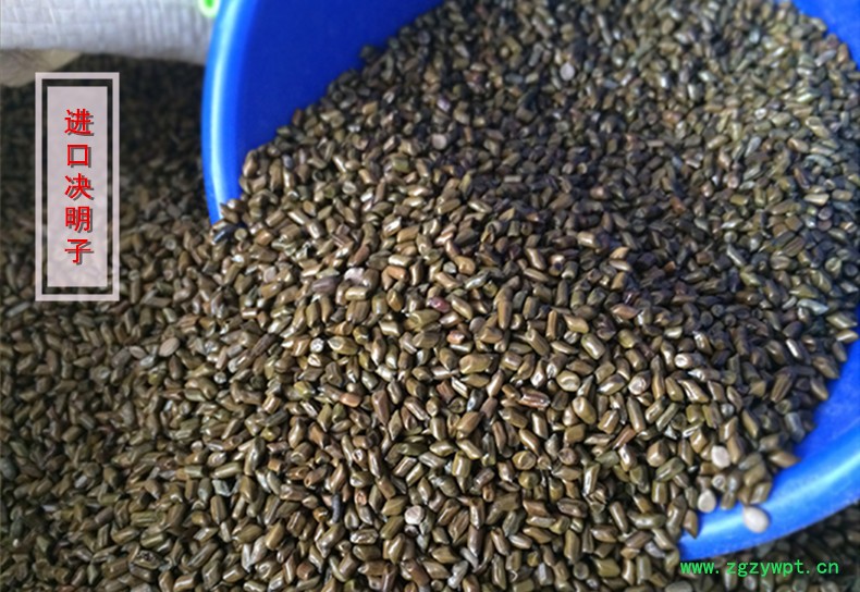 进口决明子1.jpg