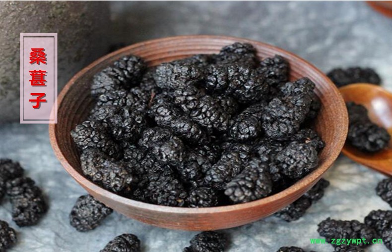 桑葚子.jpg