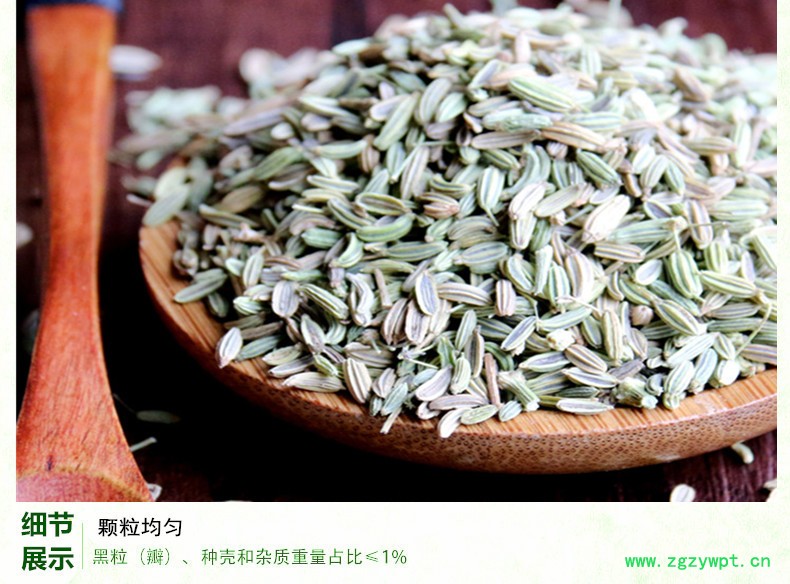 小茴香4.jpg