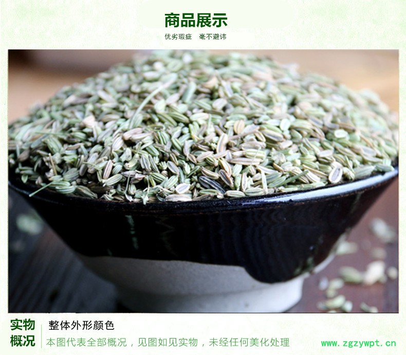 小茴香3.jpg