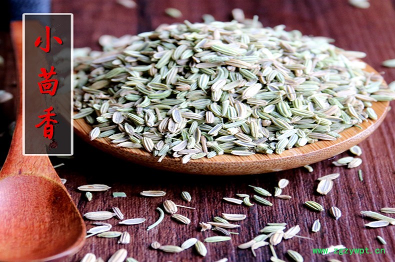 小茴香.jpg