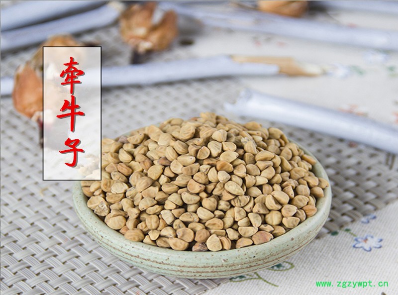 黄牵牛子1皂角1.jpg