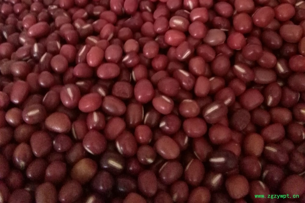 红小豆_meitu_4.jpg