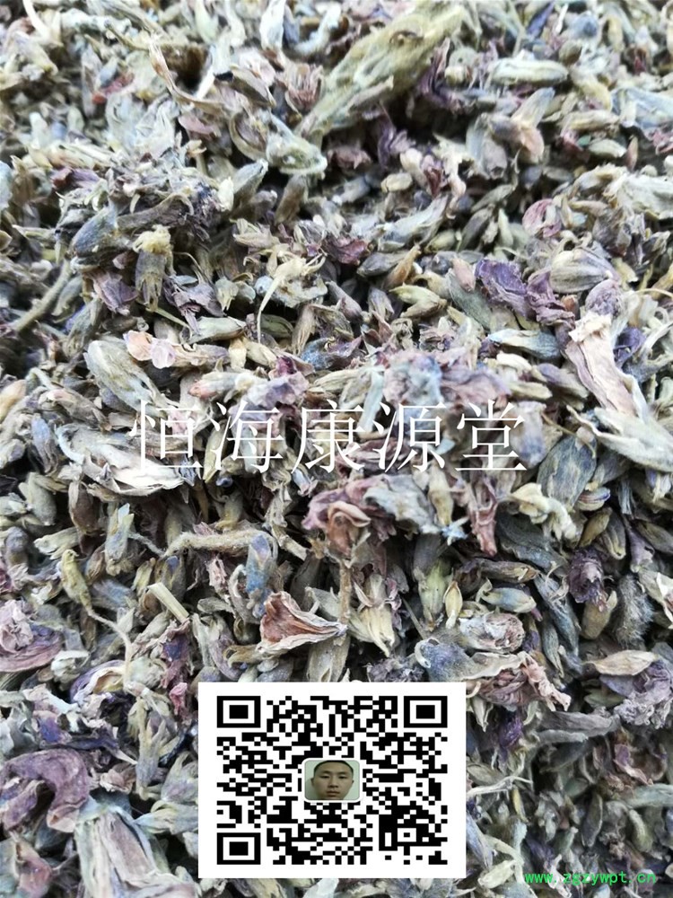 芫花 闷头花 优质 正品_副本.jpg