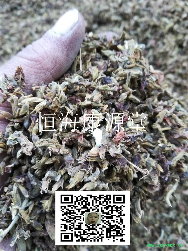 芫花 闷头花 优质 正品1_副本.jpg