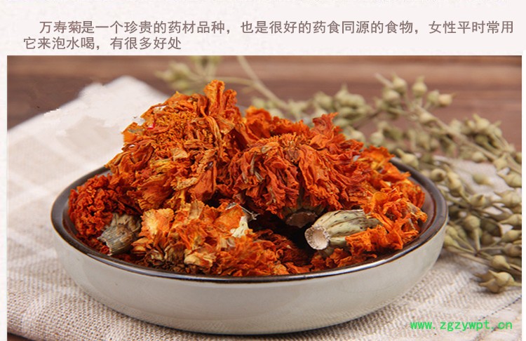 万寿菊3_副本 (1).jpg