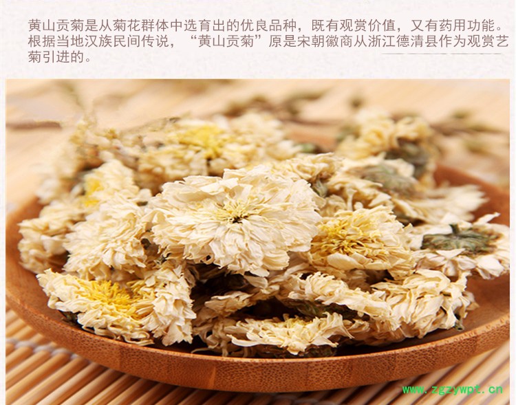 贡菊4.jpg