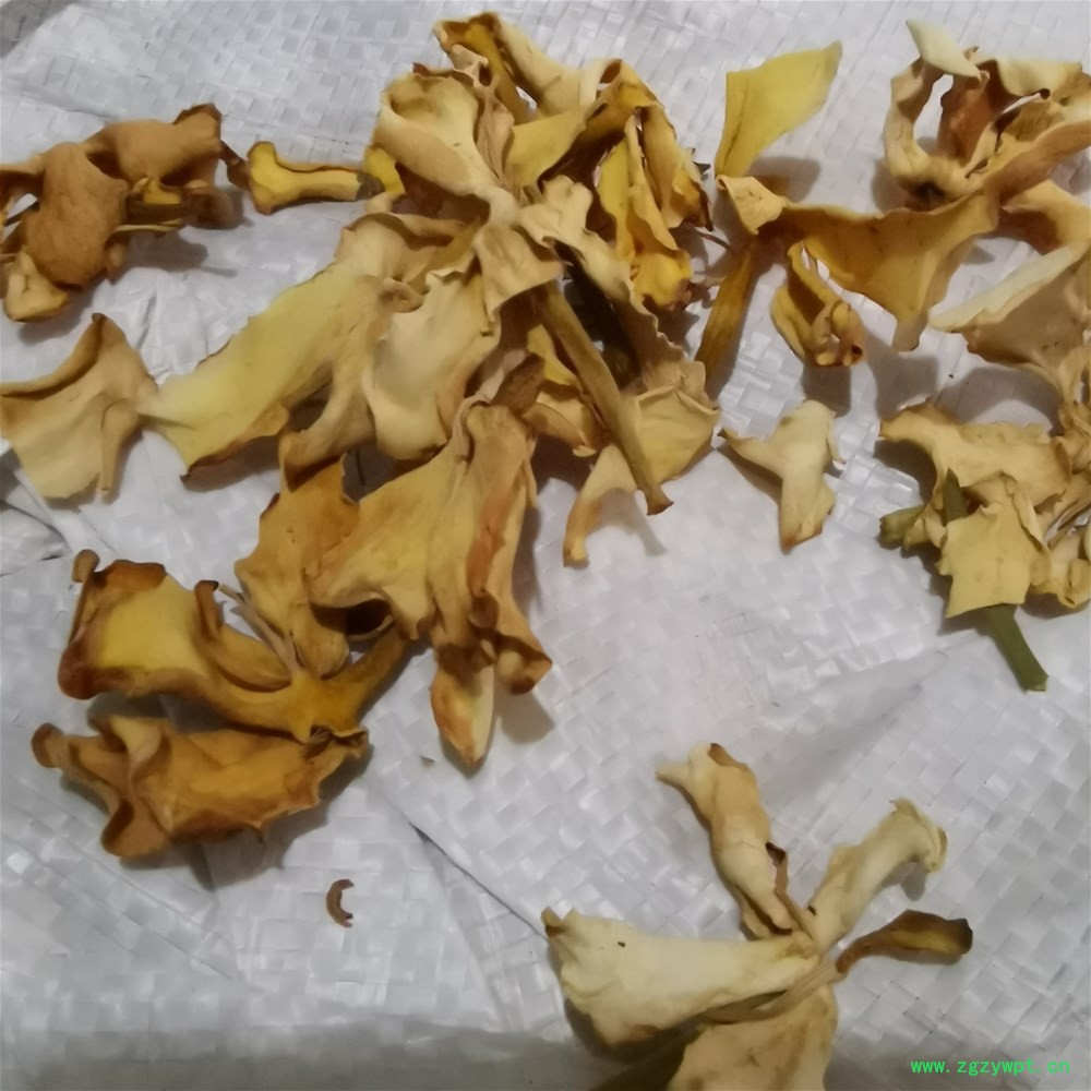 栀子花2 (2)_副本.jpg