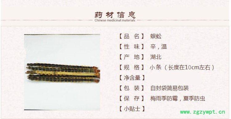 10厘米蜈蚣1_副本.jpg